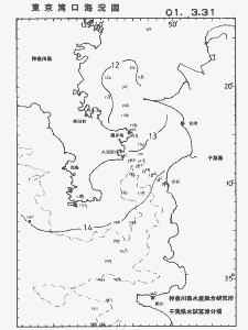 東京湾口海況図(2001/03/31)