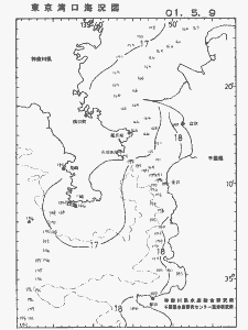 東京湾口海況図(2001/05/09)