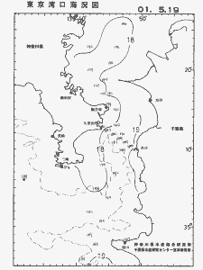 東京湾口海況図(2001/05/19)
