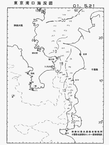 東京湾口海況図(2001/05/21)