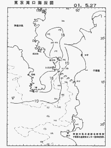 東京湾口海況図(2001/05/27)