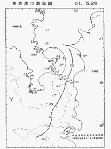 東京湾口海況図(2001/05/29)