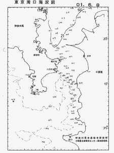 東京湾口海況図(2001/06/08)