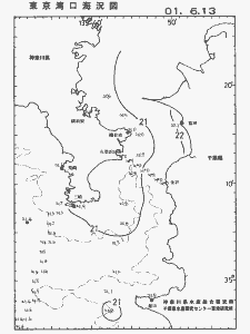 東京湾口海況図(2001/06/13)
