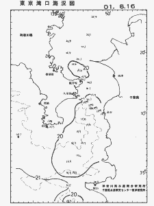 東京湾口海況図(2001/06/16)