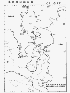 東京湾口海況図(2001/06/17)