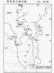 東京湾口海況図(2001/06/19)