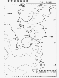 東京湾口海況図(2001/06/22)