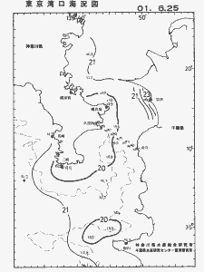 東京湾口海況図(2001/06/25)