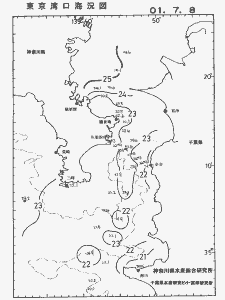 東京湾口海況図(2001/07/08)
