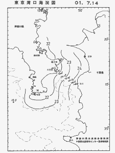 東京湾口海況図(2001/07/14)