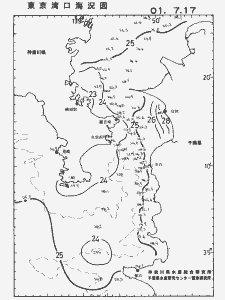 東京湾口海況図(2001/07/17)