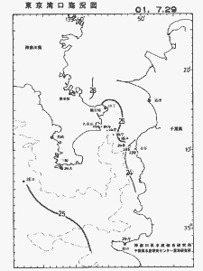 東京湾口海況図(2001/07/29)