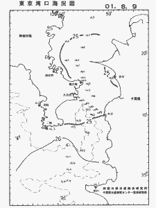 東京湾口海況図(2001/08/09)