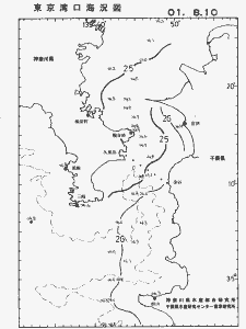 東京湾口海況図(2001/08/10)