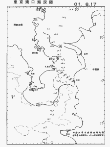 東京湾口海況図(2001/08/17)
