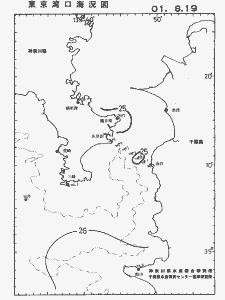 東京湾口海況図(2001/08/19)