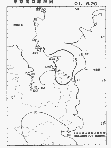 東京湾口海況図(2001/08/20)