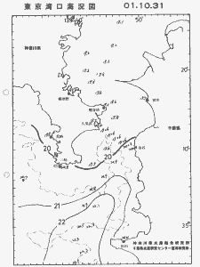 東京湾口海況図(2001/10/31)