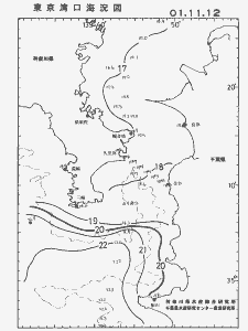 東京湾口海況図(2001/11/12)
