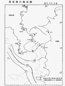東京湾口海況図(2001/11/14)