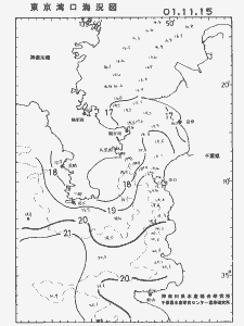 東京湾口海況図(2001/11/15)