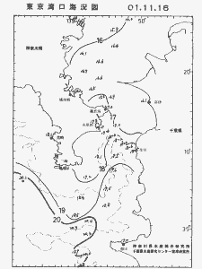 東京湾口海況図(2001/11/16)