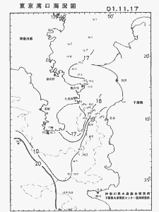 東京湾口海況図(2001/11/17)