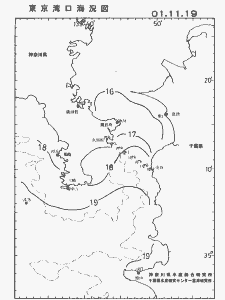 東京湾口海況図(2001/11/19)