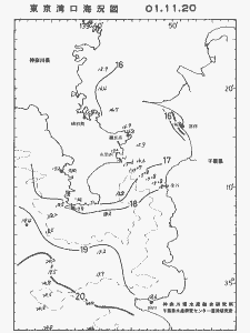 東京湾口海況図(2001/11/20)