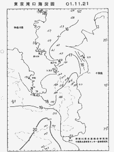 東京湾口海況図(2001/11/21)