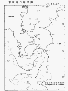 東京湾口海況図(2001/11/24)