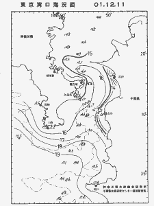東京湾口海況図(2001/12/11)