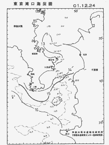 東京湾口海況図(2001/12/24)