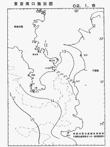 東京湾口海況図(2002/01/06)