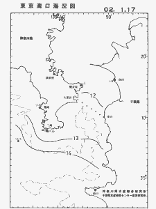 東京湾口海況図(2002/01/17)