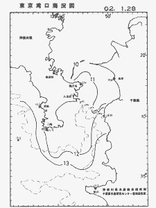 東京湾口海況図(2002/01/28)