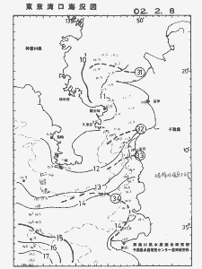 東京湾口海況図(2002/02/08)