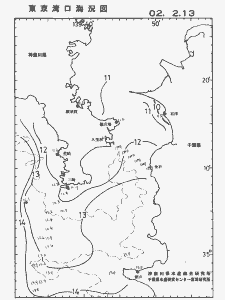 東京湾口海況図(2002/02/13)