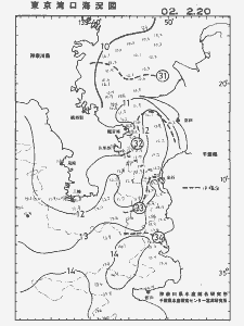 東京湾口海況図(2002/02/20)