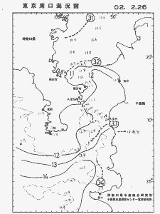 東京湾口海況図(2002/02/26)