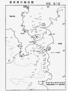 東京湾口海況図(2002/03/12)