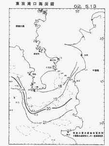 東京湾口海況図(2002/05/13)