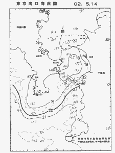 東京湾口海況図(2002/05/14)