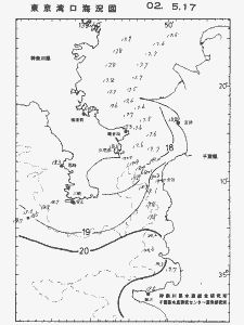 東京湾口海況図(2002/05/17)