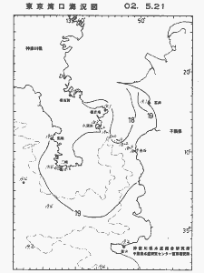 東京湾口海況図(2002/05/21)