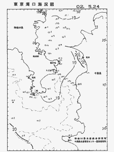 東京湾口海況図(2002/05/24)