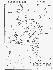 東京湾口海況図(2002/05/28)