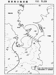東京湾口海況図(2002/05/29)