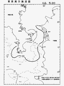 東京湾口海況図(2002/05/30)